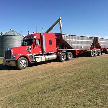 Truck and trailer loading on farm